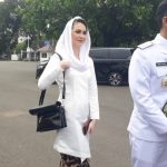 Arumi Bachsin Dunia Hiburan Peran Sosial Publik